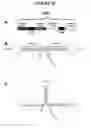 Fig. 11 - Recombinant DNA constructs and methods for controlling gene expression