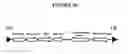 Fig. 31 - Recombinant DNA constructs and methods for controlling gene expression