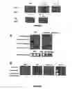 Fig. 02 - Protein for use in modifying abiotic stress tolerance in yeast