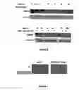 Fig. 06 - Protein for use in modifying abiotic stress tolerance in yeast