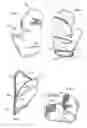 Fig. 02 - Protective hand covering