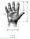 Fig. 04 - Protective hand covering