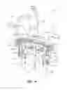 Fig. 05 - Quick change mounting system for a faucet