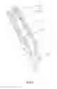 Fig. 02 - Plier handle