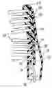 Fig. 01 - Powered toothbrush