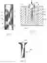 Fig. 02 - Method for making a fiber reinforced composite rivet having an upset head