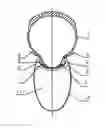 Fig. 01 - Rim