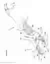 Fig. 03 - Serving claw device