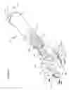 Fig. 04 - Serving claw device