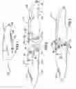 Fig. 02 - Hand tool