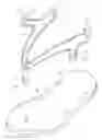 Fig. 01 - Sandal