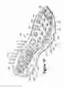 Fig. 25 - Article of footwear having a fluid-filled bladder with a reinforcing structure