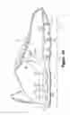 Fig. 28 - Article of footwear having a fluid-filled bladder with a reinforcing structure