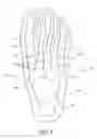 Fig. 04 - Contoured skate boot