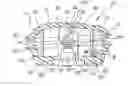 Fig. 01 - Mosquito/insect larva trap magnet system