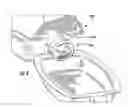 Fig. 05 - Liquid container with hingedly attached funneled dish