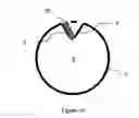 Fig. 03 - Plant delivery apparatus and method