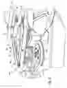 Fig. 04 - Mounting hydraulic motor on mower deck