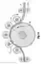 Fig. 13 - Rolling apparatus and method of making product of miscellaneous cross section with use of same
