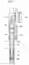 Fig. 04 - Turbine blade fatigue life evaluating method
