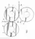 Fig. 04 - Continuous rotary hole punching method and apparatus