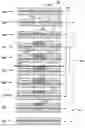 Fig. 01 - Method and apparatus for treating a reimagable printing plate