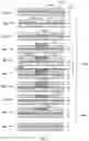 Fig. 02 - Method and apparatus for treating a reimagable printing plate