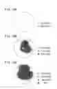 Fig. 11 - Method for producing silicon epitaxial wafer and silicon epitaxial wafer