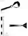 Fig. 10 - Nozzle for cold spray and cold spray apparatus using same