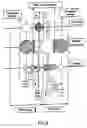 Fig. 08 - Control valve for cooling circuit