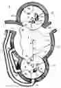 Fig. 01 - Parallel rotary engine