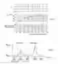 Fig. 02 - Method for operating an internal combustion engine