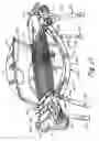Fig. 18 - Barbecue grill with frame and mounting assembly