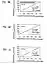 Fig. 06 - Bymixer apparatus and method for fast-response, adjustable measurement of mixed gas fractions in ventilation circuits