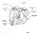 Fig. 02 - Self contained breathing apparatus combined duration factor for breathing systems