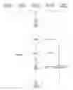 Fig. 11 - Self contained breathing apparatus combined duration factor for breathing systems