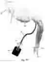 Fig. 04 - Laryngeal mask and a method manufacturing same