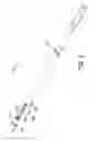 Fig. 04 - Breathable fire hydrant rod