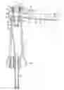 Fig. 01 - Spout for providing tranquil fluid flow