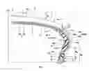 Fig. 01 - Run-flat tire with side reinforcing cord layer