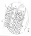 Fig. 04 - Ceramic casting core and method