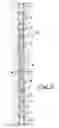 Fig. 04 - Downhole apparatus