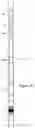 Fig. 07 - Methods and devices for one trip plugging and perforating of oil and gas wells