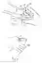Fig. 03 - Farrier's measuring tool and method for using