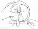 Fig. 01 - Farrier's measuring tool and method for using
