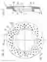Fig. 06 - Hub and braking rotor unit
