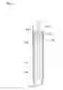 Fig. 07 - Method of forming thin film layer on external surface of sensor and sensor manufactured therewith