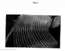 Fig. 06 - Level wound coil mounted on pallet, and package for same