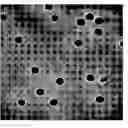 Fig. 01 - Methods and devices for high-throughput dielectrophoretic concentration