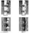 Fig. 04 - Methods and devices for high-throughput dielectrophoretic concentration